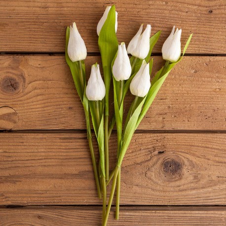 DEKORACJA na Wielkanoc bukiet tulipanów BIAŁY