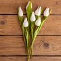 DEKORACJA na Wielkanoc bukiet tulipanów BIAŁY 7szt KONIEC SERII