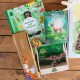 PREZENT na urodziny dla dziecka Zestaw dla miłośnika przyrody z książką i grą karcianą